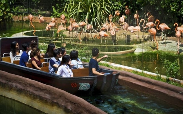 River Wonders - thiên đường giải trí hàng đầu trong tour du lịch Singapore