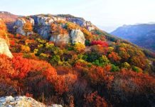 Du lịch vườn quốc gia Seoraksan Hàn Quốc có gì chơi?