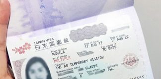 visa Nhat ban