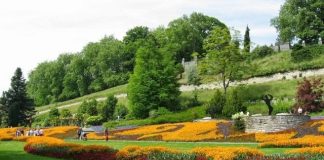 Chiêm ngưỡng vẻ đẹp của đảo hoa Mainau ở miền Nam nước Đức