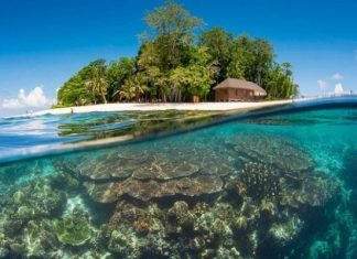 Du lịch đảo Sipadan – chinh phục hòn đảo đẹp nhất Malaysia Du lịch đảo Sipadan - chinh phục hòn đảo đẹp nhất Malaysia